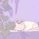 Kitty's Cozy World⋆🐾°