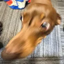 xP!
