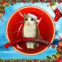 🎅🎄 || Meowl Comunnity's LATAM
