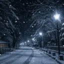 Вечерняя хоечка.