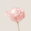 Cherish