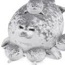 Seal Safe Haven <3