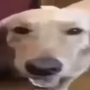 Furry Tupper Roleplay Center Discord server icon