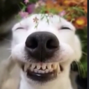 Digital hangout Discord server icon