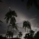 ɴᴏɪʀᴇ Discord server icon