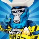 Liamgt02 SIGMAS