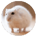 /wumistan/ . chud tag