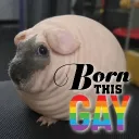 /wumistan/ . chud tag