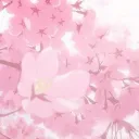 DREAMLIGHT Productions°❀.ೃ࿔*˙ . ꒷