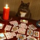 Lala’s Tavern (free 2 readings)🔮's icon
