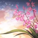 🌟🌸ƑꙆℴᴡ𝑒𝗿🌸🌟