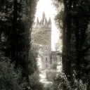 sakuri