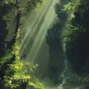 Лес ☘ — Discord-Server