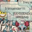 Animal Jam Get Queer Now!! <3 Discord server icon