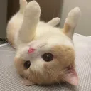 𝘊𝘩𝘪𝘭𝘭 𝘢𝘯𝘥 𝘮𝘢𝘬𝘦 𝘧𝘳𝘪𝘦𝘯𝘥𝘴! ✮⋆˙ ✰