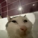 Server icon for Geeks and james super awesome server