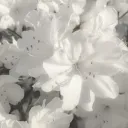 ‧₊˚ ☁⋅ 𝙶𝙷𝙾𝚂𝚃𝙻𝙸𝙶𝙷𝚃 !! ♡𓂃 ࣪ ִֶָ☾.