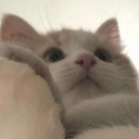 아일랜드 Discord server icon