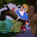 Wonderland | clsd!