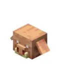 Donut Pig