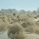 ▏RP Sahara - Géopolitique icon