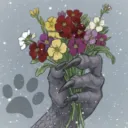 🐉Wallflower Loners⁽²¹⁺⁾💐