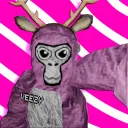 Veezy's Hangout