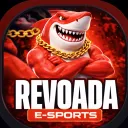 Server icon for REVOADA E-SPORTS | SALA 5C