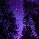 ⟬ღ★🌙𝒂𝒃𝒏𝒐𝒓𝒎𝒂𝒍 𝒏𝒊𝒈𝒉𝒕✦🪻ꨄ⟭ Discord server icon