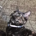 Kïtt¥'s ïtêm§ :3
