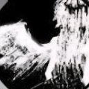 velvet Discord server icon