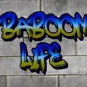 Baboon Life