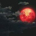 𝑼𝑻𝑶𝑷𝑰𝑨: 𝑻𝑯𝑬 𝑩𝑳𝑶𝑶𝑫 𝑴𝑶𝑶𝑵 ₁₈₊ Discord server icon