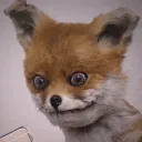 CHLN Discord Server Icon