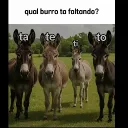 Servidor de Luffyseira2_0