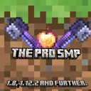 The PRO SMP