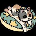 𐔌 Little Paws • 🐚 ꒱