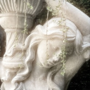 ⧼🦢⧽﹒ 𝑮enevieve ﹒⟢ Discord server icon