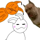 Animal Meme's Club