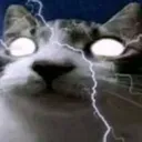 Pithecophobia Minecraft Server