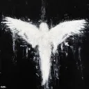 SIXSHP REBORN