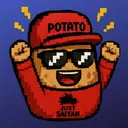 THE POTATO CLUB