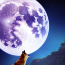 The Packs Of Howling Heights Discord server icon