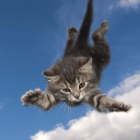 my dad left me Discord server icon