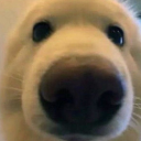 나인에대한 모든것