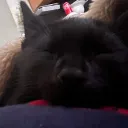 Heroes gng Discord server icon