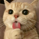 /wap - discord server icon