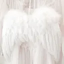 ⋆˚࿔ נυℓѕ' ρℓαcє 𝜗𝜚˚⋆