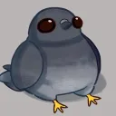 Pigeon lounge [Reopen now!]