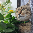 Fundraising for homeless, ill, with many debts and lonely 23 yo guy Discord server icon